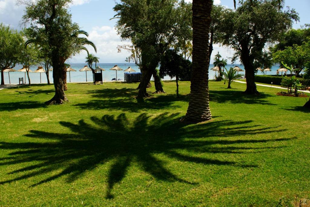 Zaļš zāliena laukums ar palmām, kas veido interesantas ēnas, un jūras fons ar pludmales nojumiem. Ideāla vieta relaksācijai un atpūtai.