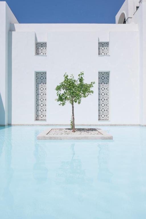 Mūsdienīga arhitektūra ar baltiem mūriem un dekoratīvām nišām, kurā centrā ir koks, kas atrodas baseina vidū. Ūdens ir gaiši zils, radot mierīgu un relaksējošu atmosfēru.