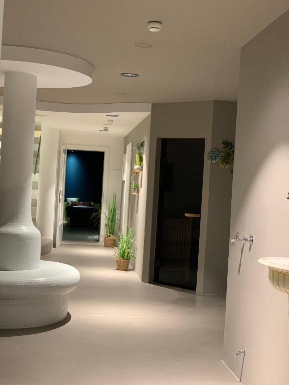 Mūsdienīgs un stilīgs interjers ar plašu koridoru, kas iekārtots ar dekoratīvām augiem un apgaismojumu. Redzamas vairākas durvis, kas ved uz dažādām telpām.