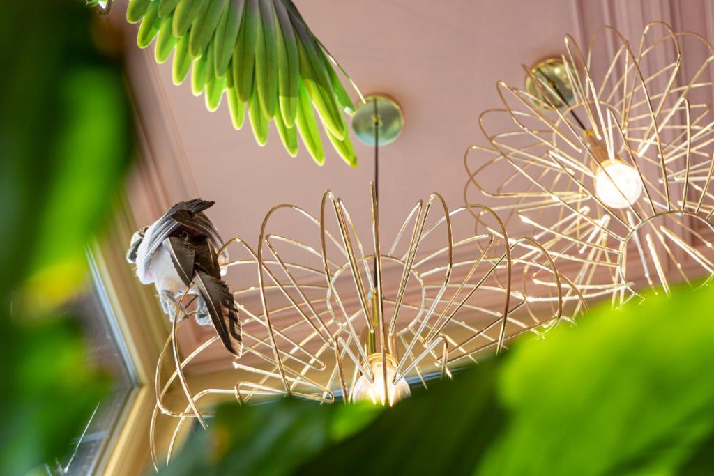 Pūces sēž uz gaismekļa ar zelta metāla struktūru, fonā redzami zaļi augi un rozā sienas. Gaismas spīd cauri, radot mājīgu atmosfēru.