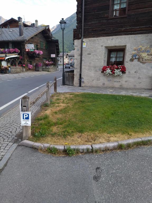 Stūra skats uz gleznainu pilsētu ar ziedu dekorācijām un stāvošu laternu. Ceļa zīme norāda uz autostāvvietu, bet blakus ir zaļa zāle un akmens bruģakmens.