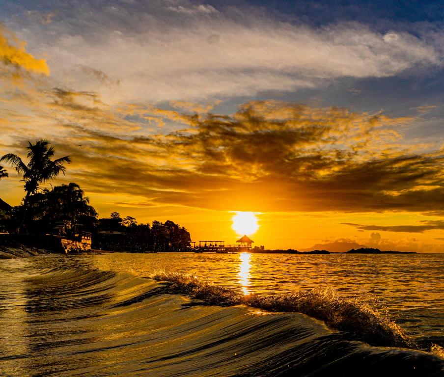 Saule noriet virs jūras, radot krāšņus zeltainus toņus un atspīdumus uz ūdens viļņiem. Skats uz pludmali un palmām papildina mierīgu atmosfēru.