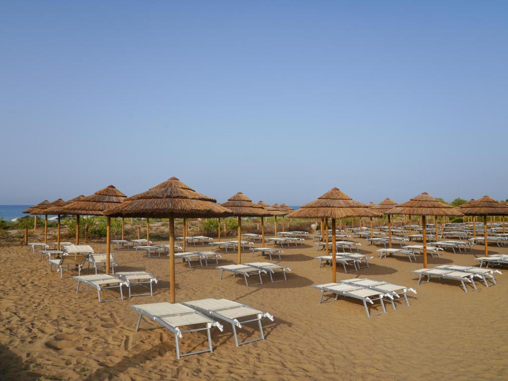 Pludmales ainava ar saulessargiem un sauļošanās krēsliem, kas izvietoti smilšainā piekrastē. Skats uz jūru un skaidro debesu fonu.