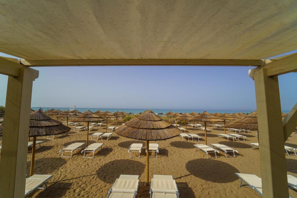 Pludmales ainava ar saulessargiem un sauļošanās krēsliem, skats uz jūru un skaidru debesu fonu. Ideāla vieta atpūtai un relaksācijai.