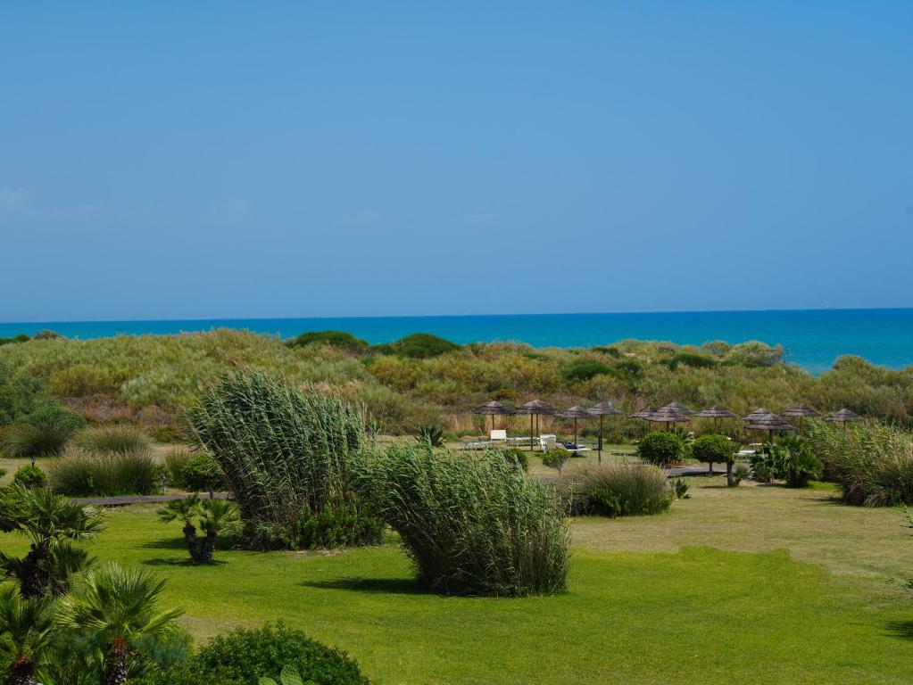 Zaļa zālāja ainava ar pludmali un jūru tālumā, apzaļumota ar krūmiem un palmu kokiem. Virsū skaidrs debesis un mierīga jūra.