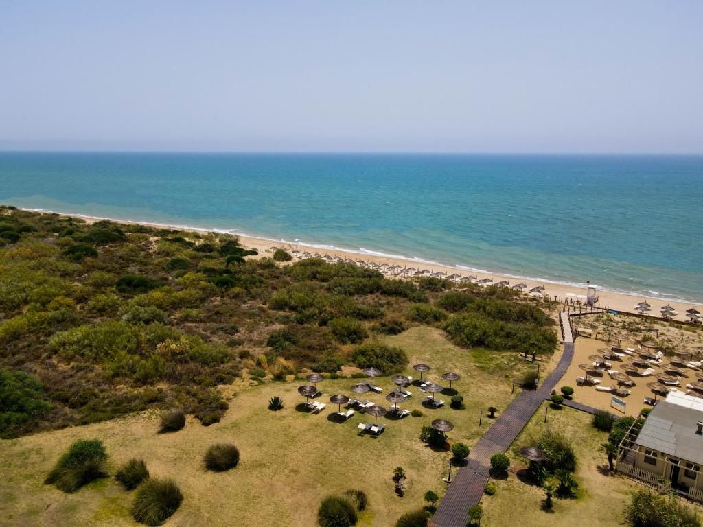 Pludmales skats ar zilu jūru un smilšu krastu, apkārtējā zaļā veģetācija un sauļošanās krēsli.
