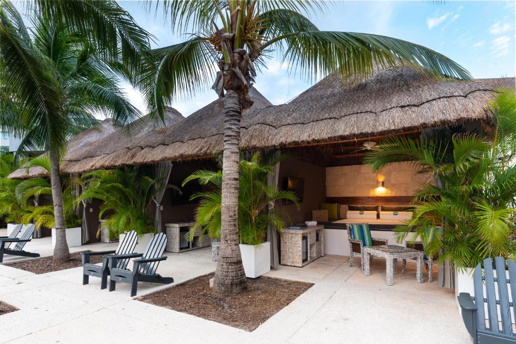 Tropiska viesnīcas zona ar mājīgām kabīnēm, kokosriekstu palmām un atpūtas krēsliem. Ideāla vieta relaksācijai un atpūtai pie ūdens.