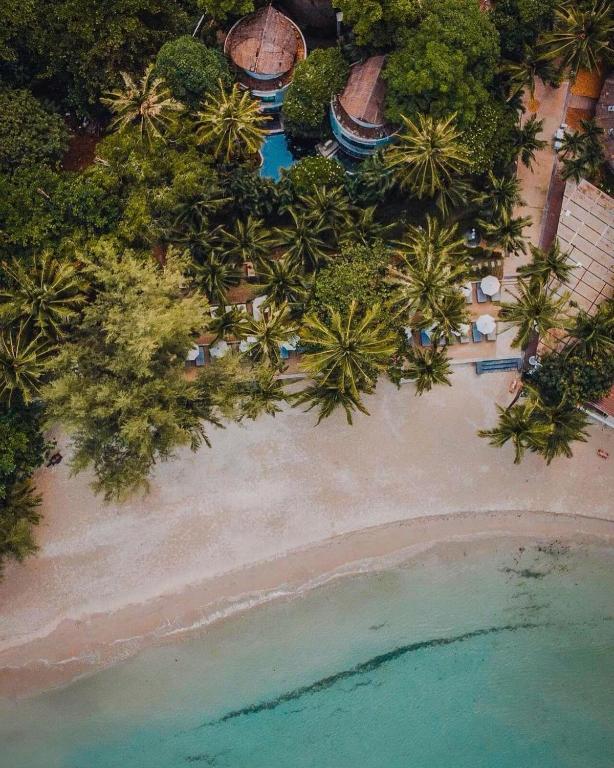 Tropiska pludmale ar palmu kokiem un viesnīcu kompleksu, redzama no augšas. Smilšu krasts saskaras ar mierīgu, zilzaūdeni.