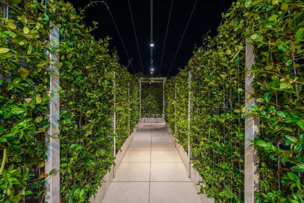 Zaļš dārza ceļš starp augošiem augiem naktī.