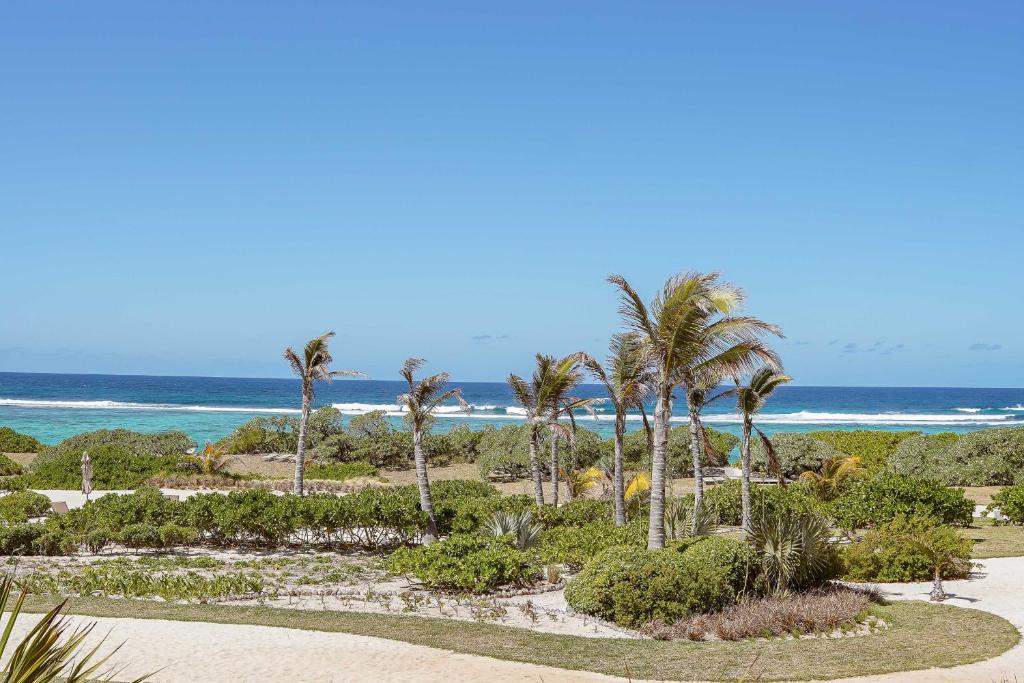 Tropu pludmales ainava ar palmām un zilām jūrām, kas veido mierīgu atpūtas vietu. Ideāla vieta atpūtai un relaksācijai.