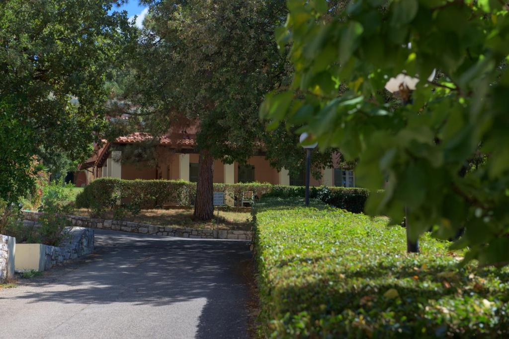 Mierīga ainava ar ceļu, kas ved uz māju, ko ieskauj zaļš krūmājs un koki. Gaisma un dabiskais apgaismojums rada patīkamu atmosfēru.