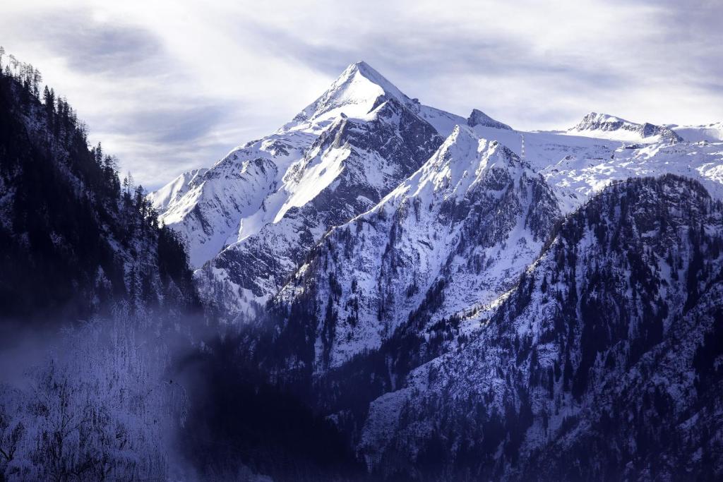 Sniegotu kalnu ainava ar augstām virsotnēm un mežainiem pakalniem, kas radījuši elpu aizraujošu skatu.