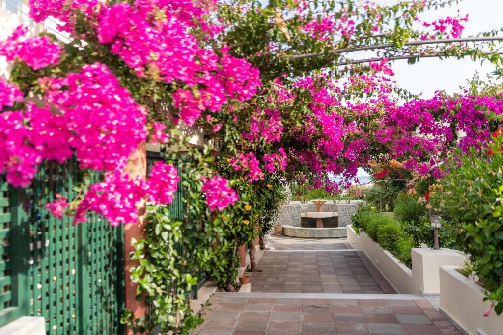Skaista dārza aleja, ko rotā spilgti rozā bougainvillea ziedi un zaļi krūmi, ved uz apļveida strūklaku.
