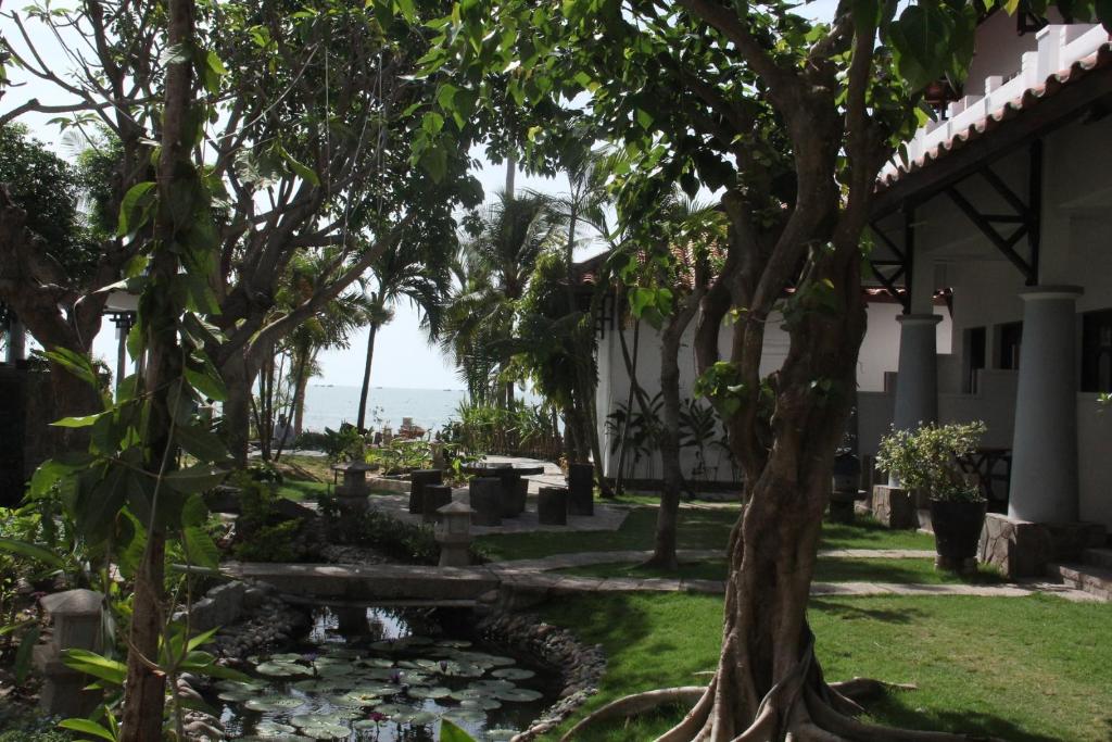 Tropu dārza ainava ar laiņu un zaļumu, redzams ūdens tilpums un jūra fona. Dārzs ir sakopts un piedāvā mierīgu atmosfēru.