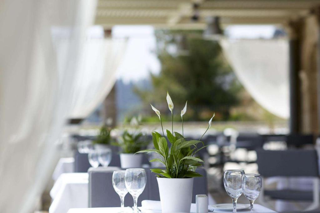 Elegants restorāna interjers ar galdiem, dekorētiem ar glāzēm un ziediem, radot patīkamu atmosfēru. Gaismas un dabas elementu kombinācija piešķir vietai mierīgu noskaņu.