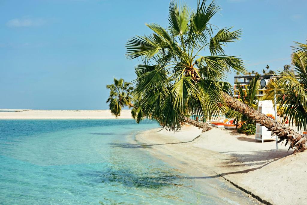 Pludmale pie Voco Monaco Dubai ar palmām un skaidru ūdeni