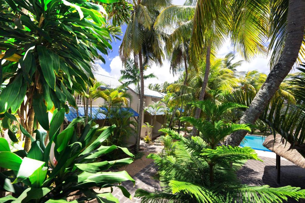 Tropu ainava ar sulīgu zaļumu un palmu koku, kas ieskauj māju un baseinu. Ideāla vieta relaksācijai un atpūtai.