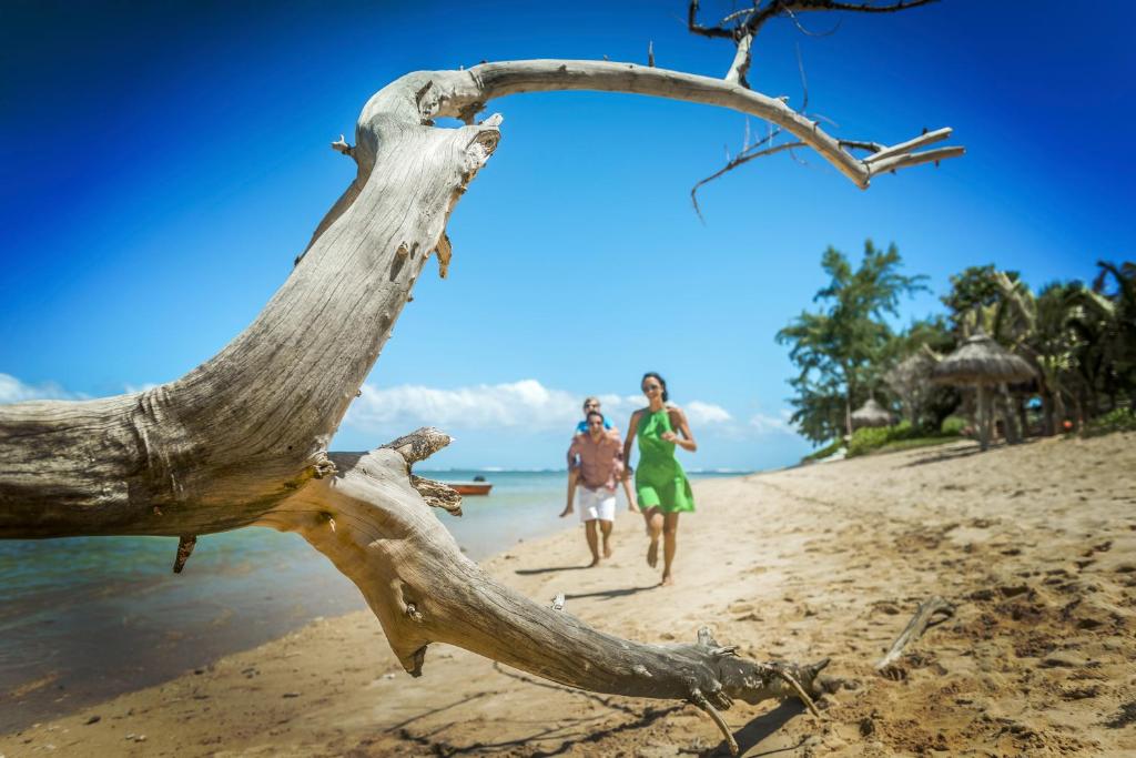 Pāris skrien pa pludmali zem zila debesīm, kamēr priekšplānā ir saulē apstarots koks. Pludmale ir klāta ar smiltīm, un fona ainava satur zaļus kokus un vasaras būves.