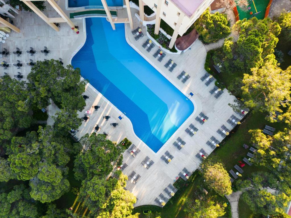 Aerial view of Asteria Collection Side's inviting pool surrounded by lush greenery.