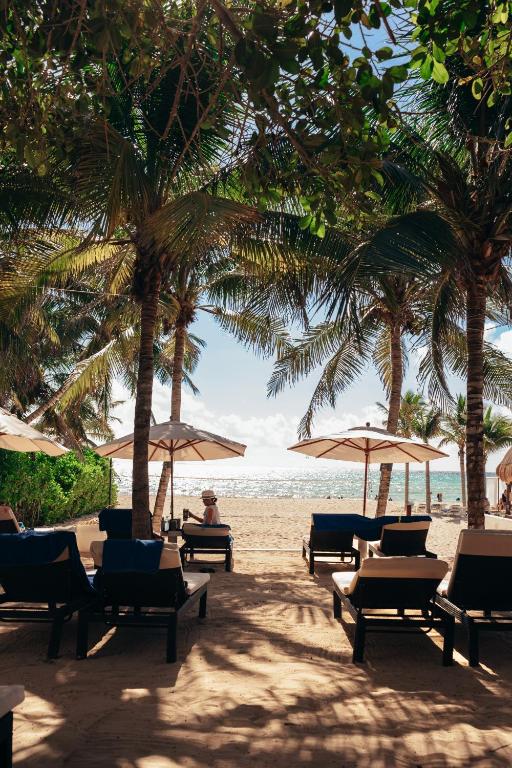 Pludmales ainava ar palmām, sauļošanās krēsliem un saules vairogiem, kas vērsti uz mierīgu jūru. Ideāla vieta relaksācijai un atpūtai.