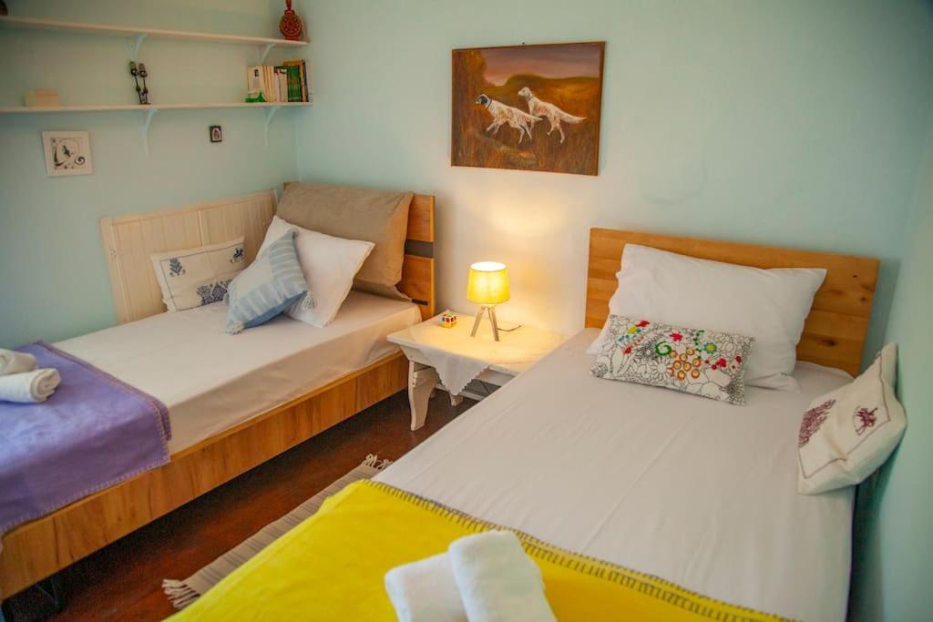 Gaiša guļamistaba ar divām atsevišķām gultām, dekorēta ar krāsainām spilveniem un gaismas avotu, kas rada mājīgu atmosfēru. Sienā ir gleznas ar suņu attēliem, pie sienas ir plaukti ar grāmatām.