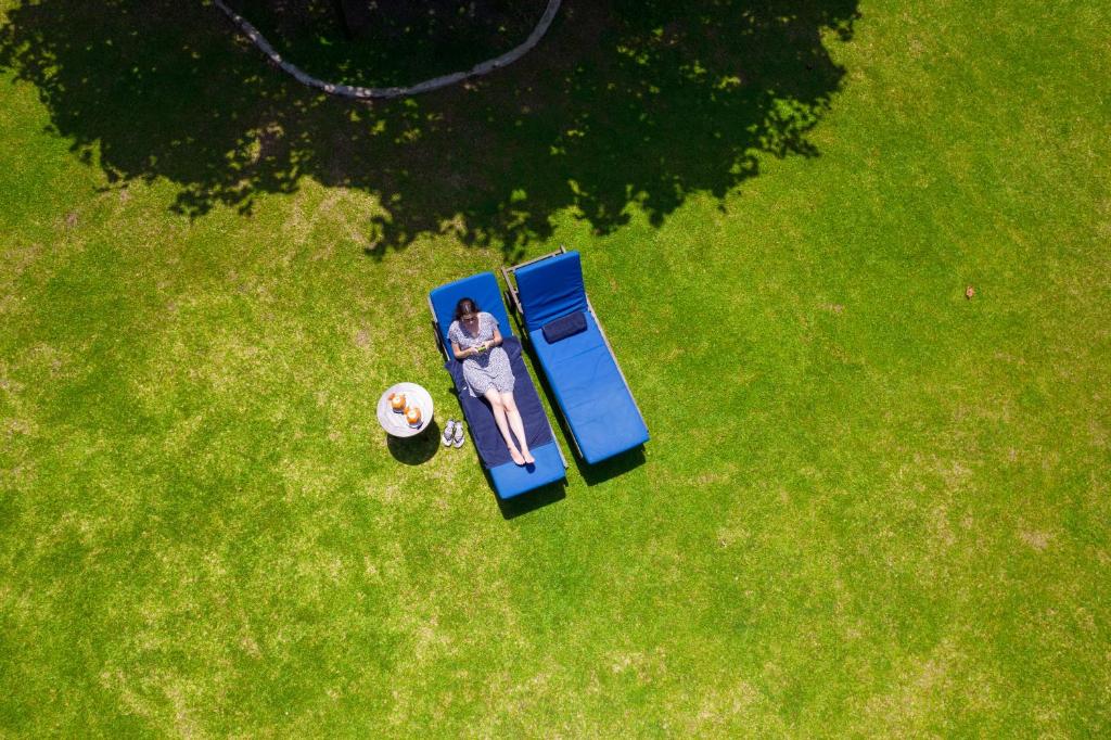 Atpūta dārzā uz saulē sildītām sauļošanās krēslām, blakus galds ar dzērieniem un uzkodu šķīvi. Visi elementi uz zaļās zāles fona rada mierīgu un relaksējošu atmosfēru.