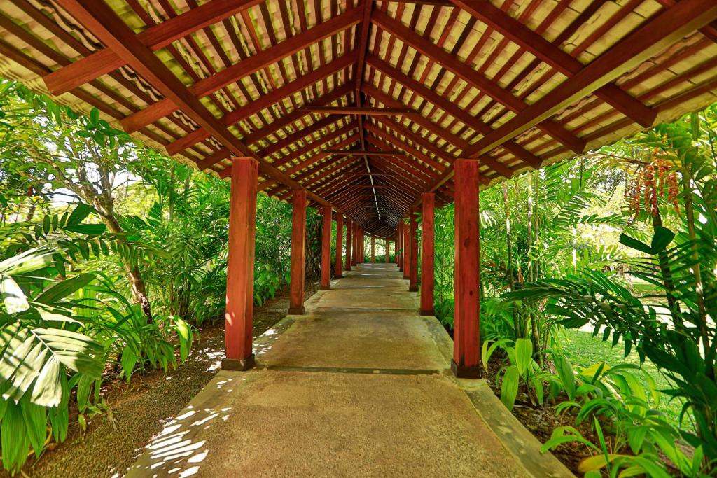 Zaļš, mierīgs ceļš zem jumta, ko atbalsta sarkanas kolonnas, apkārt aug lieli augi. Šī ainava aicina izpētīt dabu un atpūsties.