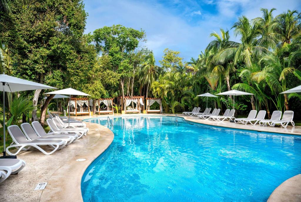 Lieliska viesnīcas baseina ainava ar sauļošanās krēsliem un kokiem ap to, radot relaksējošu atmosfēru. Skats uz skaidru ūdeni un sauļošanās vietām zem saules.