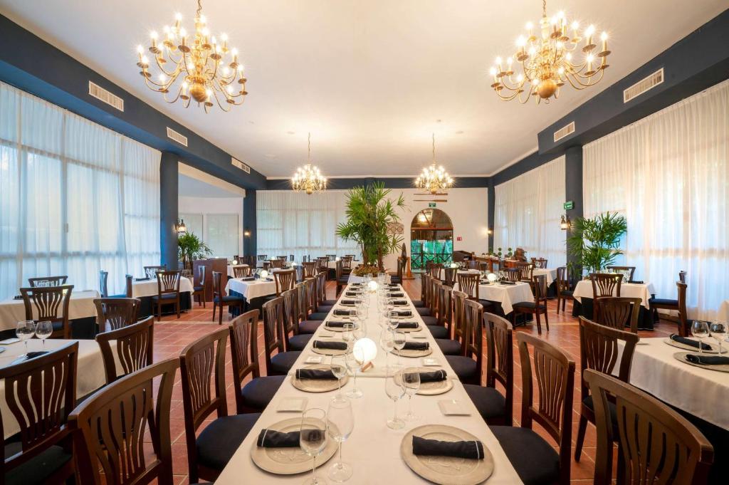 Lieliska restorāna iekārtojuma aina ar eleganti klātām galdiem, krēsliem un lustru apgaismojumu. Telpā ir daudz dabiskās gaismas un zaļumi, kas rada patīkamu atmosfēru.