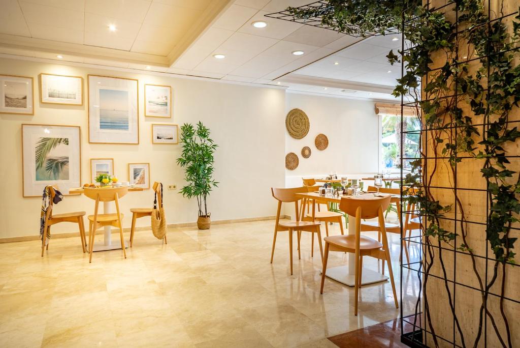 Mūsdienīga restorāna interjers ar koka mēbelēm, mākslas darbiem uz sienām un zaļām augiem, kas piešķir dzīvīgumu. Gaismas telpa ar patīkamu atmosfēru, kas aicina uz relaksējošu maltīti.