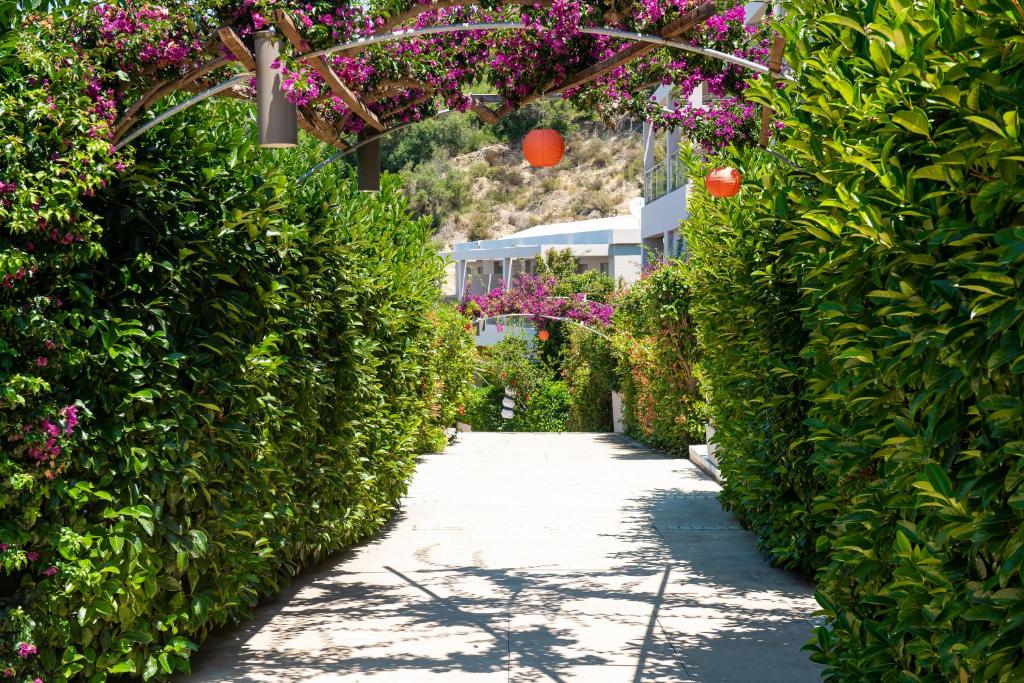 Zaļš ceļš, ko ieskauj krāsaini ziedi, ved cauri ainaviskam dārzam ar dekoratīvām lampām un mājīgām ēkām fonā. Ideāla vieta relaksācijai un dabas baudīšanai.