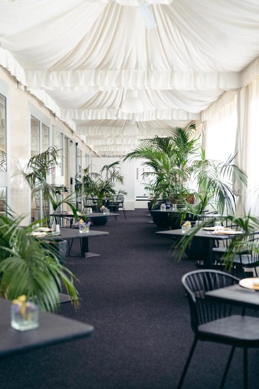 Mūsdienīgs restorāna interjers ar augiem un melnām galdiem, gaišām sienām un elegantu, izsmalcinātu atmosfēru.