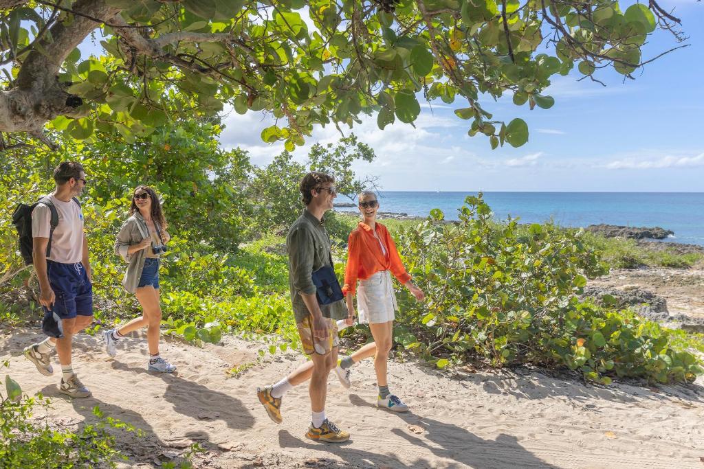 Grupas cilvēku pastaiga pa pludmali, izbaudot saulainu laiku un dabu. Apkārt ir zaļi augi un zils okeāns.