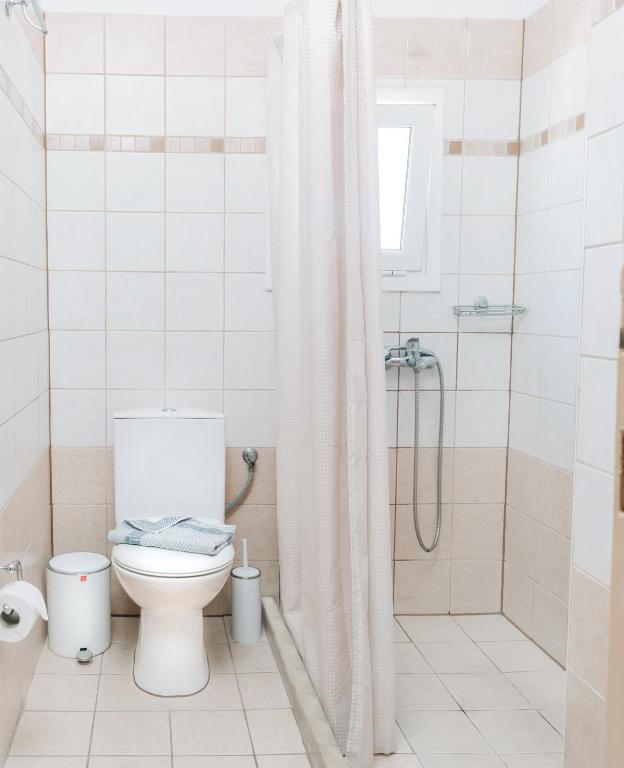 Mūsdienīga vannas istaba ar dušu, tualeti un higiēnas piederumiem uz flīžu grīdas. Telpa ir gaiša un sakopta.