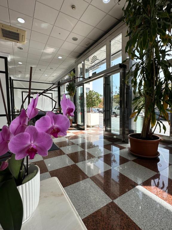 Mūsdienīgs interjers ar mirdzošu grīdu un rozā orhidejām, kas rotā ieejas zonu, radot patīkamu un viesmīlīgu atmosfēru. Gaisma ieplūst, izgaismojot telpu.