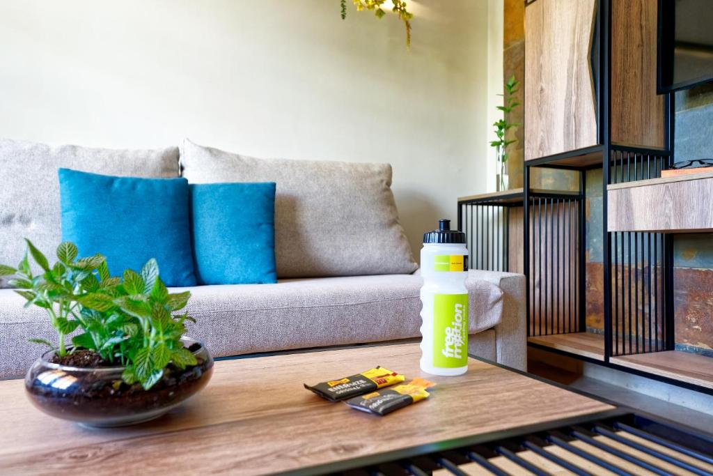 Mūsdienīga viesistaba ar pelēku dīvānu un spilveniem, kas ir izceltas ar zilu krāsu, ir papildināta ar zaļām augu kompozīcijām un sporta ūdens pudeli uz galda. Uz galda redzami arī enerģijas batoniņi.