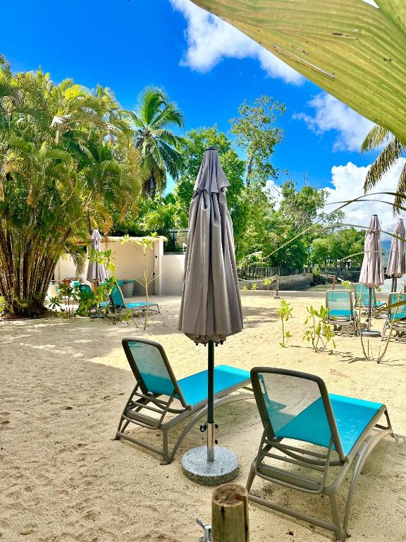 Pludmales zona ar sauļošanās krēsliem un ēnainiem lietussargiem, apkārt bagātīga veģetācija un skaidrs zils debesis. Ideāla vieta relaksācijai un atpūtai.