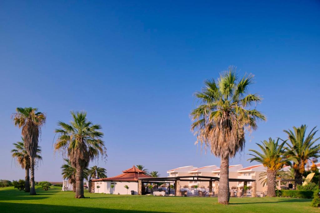 Tropiska ainava ar palmu kokiem un viesnīcas ēku zem zila debesīm.