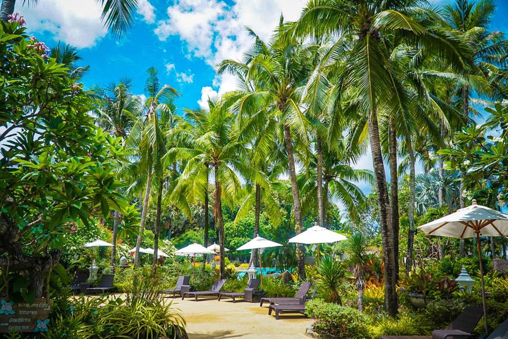 Tropu oāze ar palmām un sauļošanās krēsliem, kas izvietoti starp zaļiem augiem un baltiem saules sargiem. Ideāla vieta relaksācijai un atpūtai zem saules.