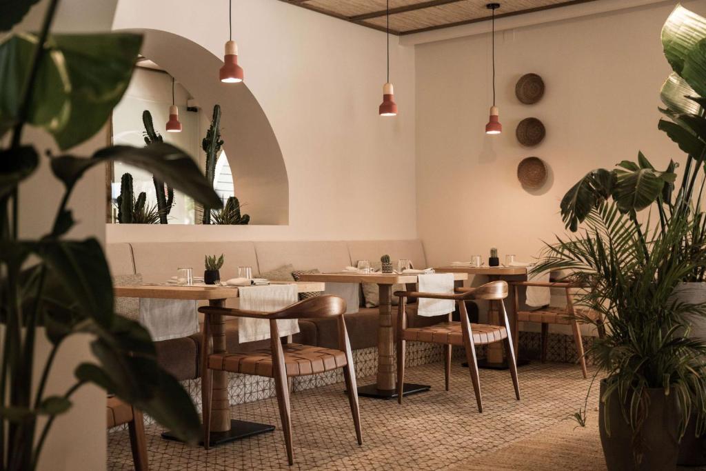 Mūsdienīgs restorāna interjers ar koka mēbelēm, siltu apgaismojumu un augiem, radot patīkamu atmosfēru. Sēdvietas ir ērti izvietotas, nodrošinot intīmu un aicinošu vidi.