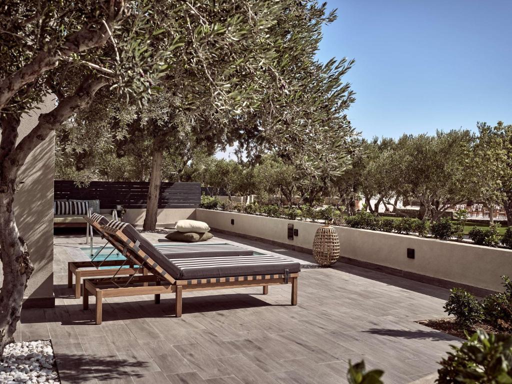 Mūsdienīgs atpūtas stūris ar sauļošanās krēsliem, olīvu kokiem un baseinu, kas piedāvā relaksējošu atmosfēru. Ideāla vieta brīvā laika pavadīšanai ārā.