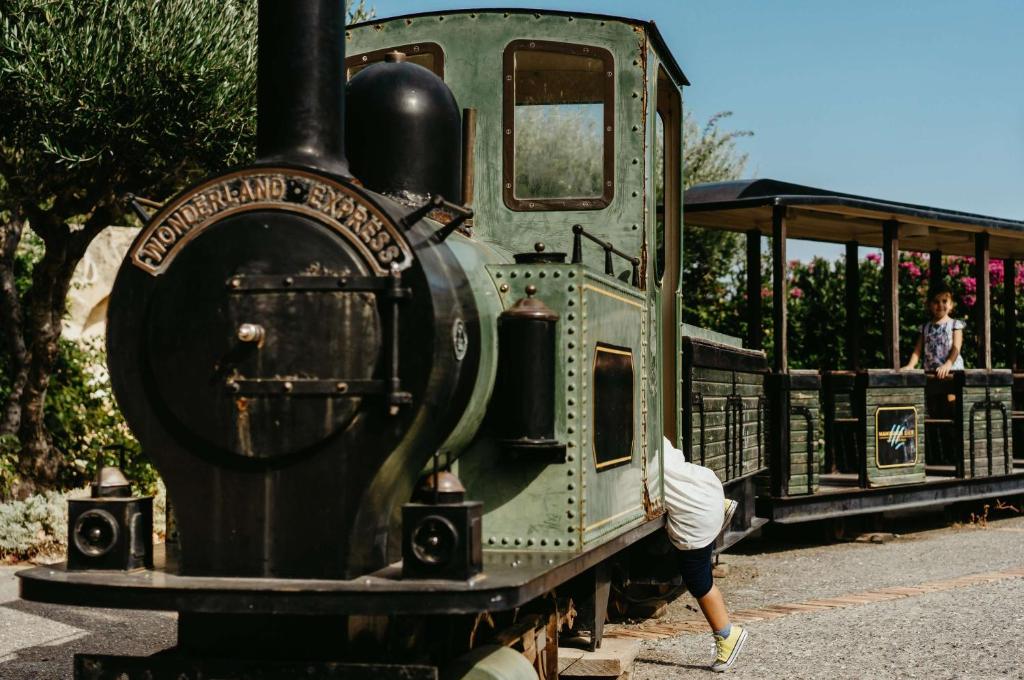 Zaļš vilciens ar nosaukumu "Wonderland Express" un bērns, kas spēlējas blakus, atrodas saulainā dārzā ar ziediem.