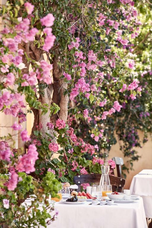 Galda klāšana ārā, ko rotā rozā ziedi un bagātīgs brokastu klāsts ar augļiem un dzērieniem. Ideāla vieta relaksācijai un baudīšanai.