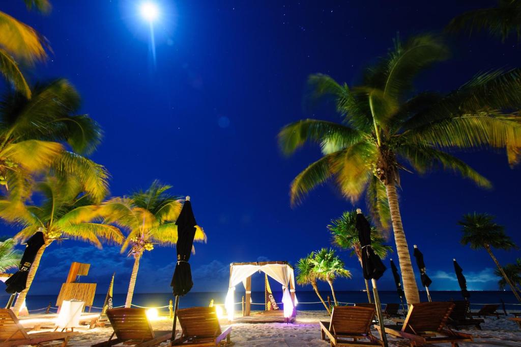 Nakts pludmales ainava ar palmām, gultām un kāzu altāri, apgaismota ar mēness gaismu.