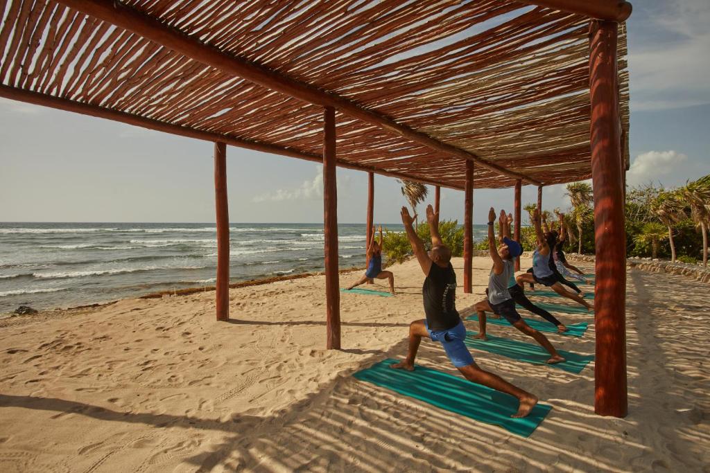 Pludmales jogas nodarbība zem koka nojumes, kur grupas dalībnieki veic dažādus jogas pozas ar skatu uz jūru.