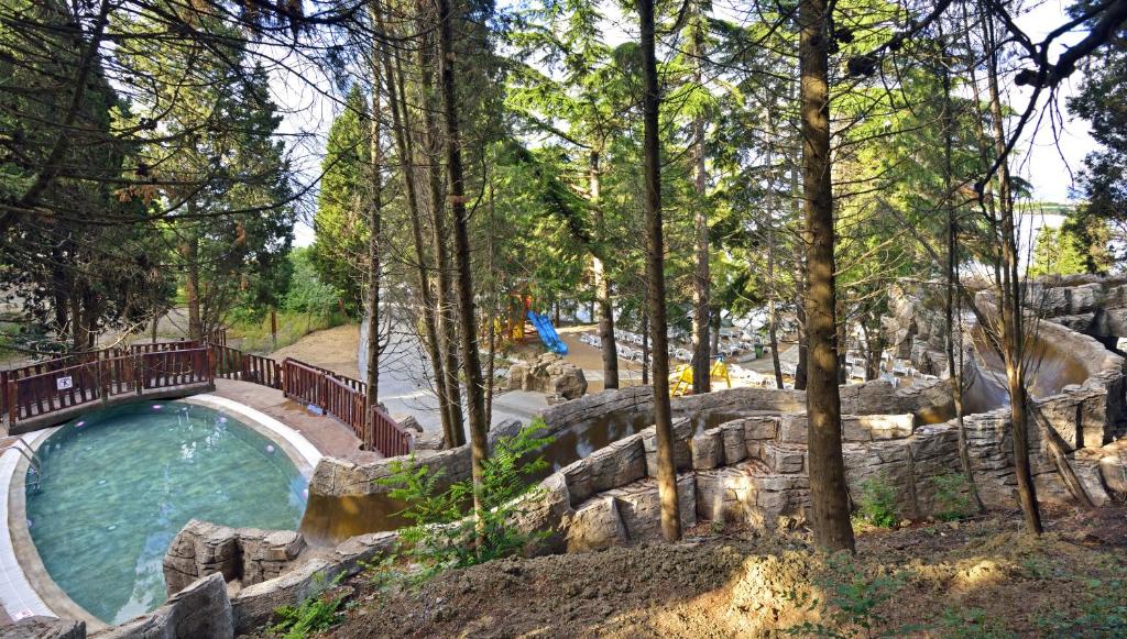 Peldbaseins ar akmeņainu apdari, ko ieskauj koki, un ūdens slidkalniņi fonā. Ideāla vieta atpūtai un izklaidei dabas vidē.