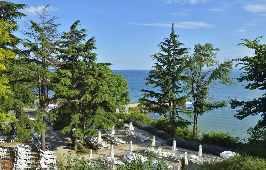 Pludmales ainava ar zaļiem kokiem, sauļošanās krēsliem un mierīgu jūru. Ideāla vieta atpūtai un relaksācijai.