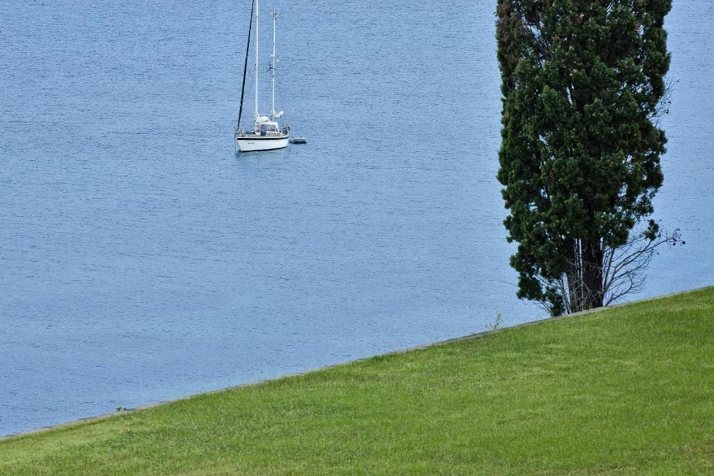 Kruīza laiva peldošā mierīgā ūdenī, blakus zaļai pļavai un augstai koku grupai.