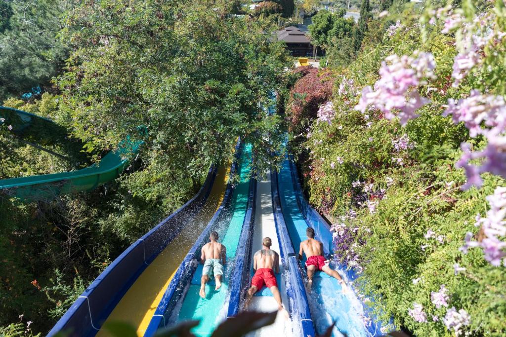 Trīs cilvēki slidinās pa ūdens slidām Ali Bey Club, iegrimuši zaļumos.