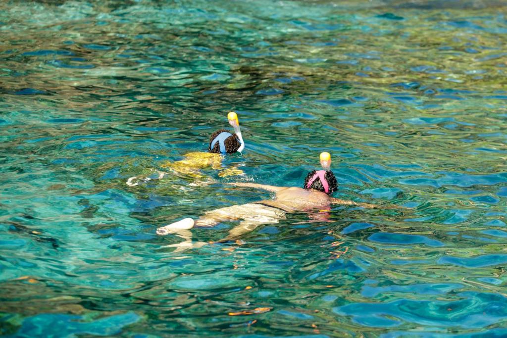 Divi cilvēki peld ar maskām un snorkeli skaidrā ūdenī, izpētot zemūdens pasauli. Ūdens ir dzidrs un spīdīgs, radot lielisku atmosfēru snorkelēšanai.